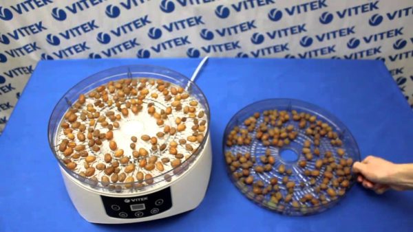  Making raisins in an electric drier