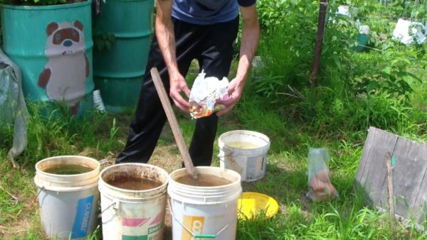  Breeding top dressing for grapes