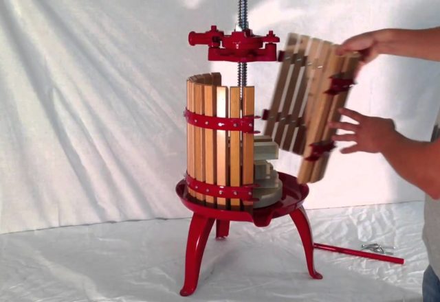  Grape Press