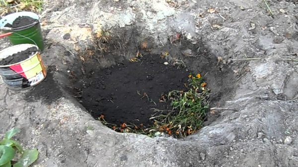  Having a pit in the country can be disposed of in it all the available weeds