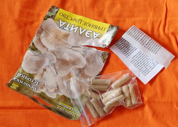  Wooden chopik with mycelium in original packaging
