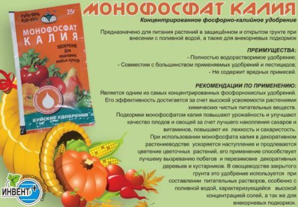  Il monofosfato di potassio non contiene impurità nocive
