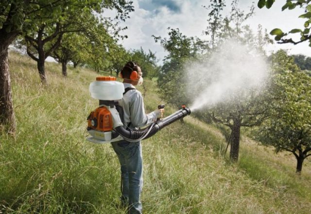  spraying autumn trees