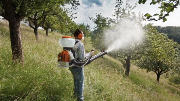  spraying autumn trees