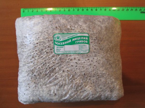  Mycelium for planting