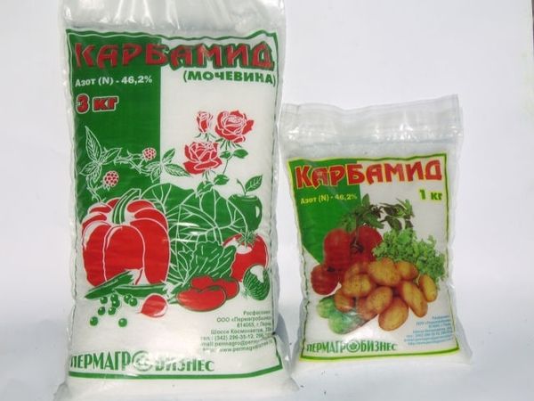  Ureea poate fi folosită în toamnă