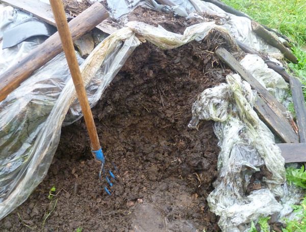  Per la preparazione di humus da letame, viene lasciato sotto il film per l'intero periodo invernale, pepato