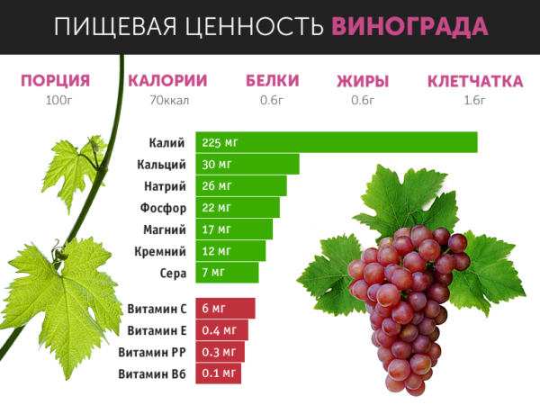  A graphic graph of the content of vitamins in 100 g of grapes
