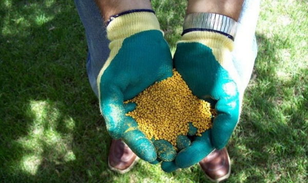  Granulated Fertilizer for Blueberry