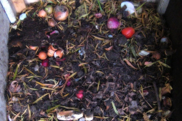  Compost organico