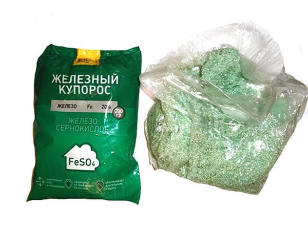  The solution of ferrous sulfate protects the plum from infections
