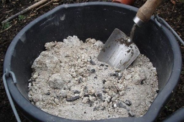  Wood ash