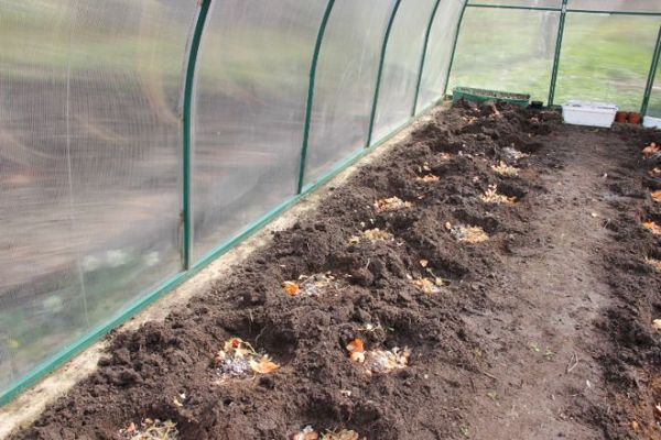  La materia orgánica se debe agregar a los pozos o camas antes de plantar.