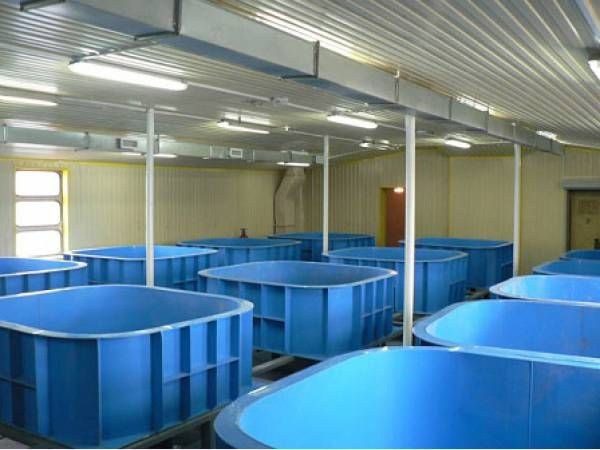  Pools for breeding fish from polypropylene