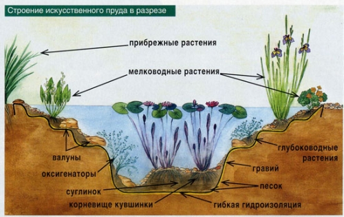  The schematic structure of the pond for fish
