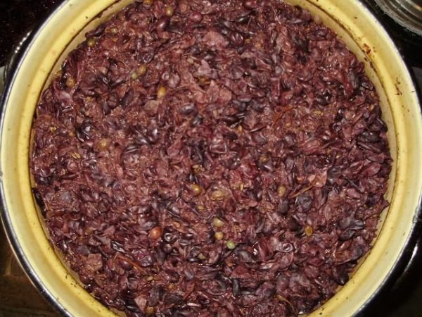  Grape pulp