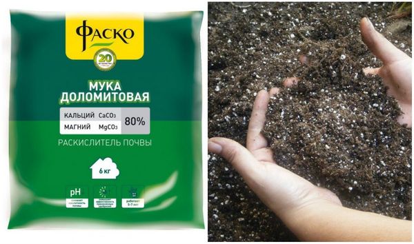  Cu aciditate crescută a solului înainte de superfosfat contribuie la făină de dolomit