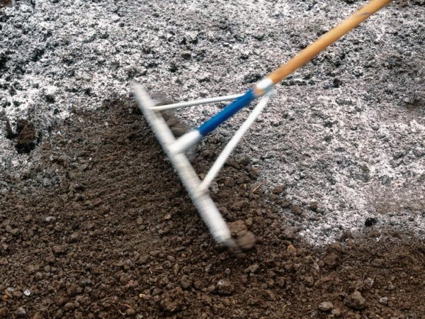  Mescolando il terreno con il gesso