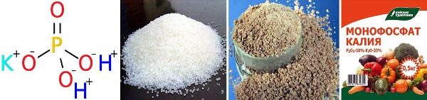  Formula strutturale e forme di rilascio di monofosfato di potassio