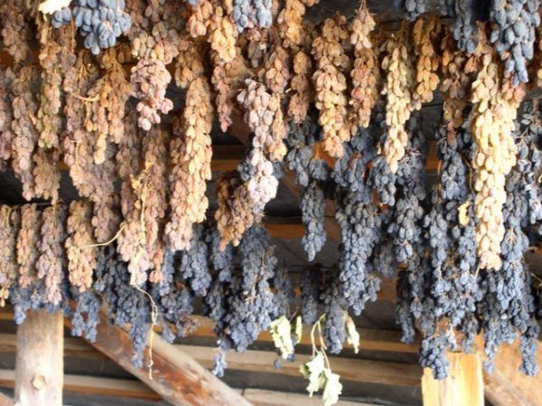  Making raisins by natural drying