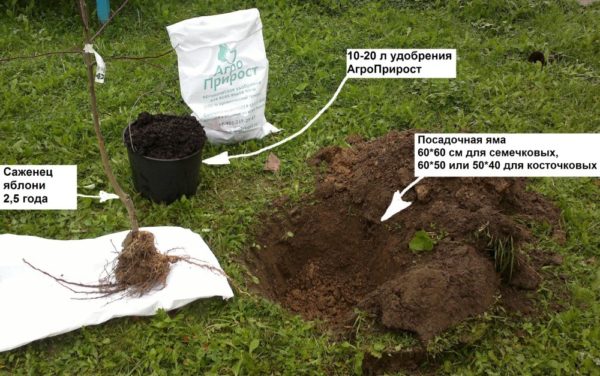  Making feedings before autumn planting