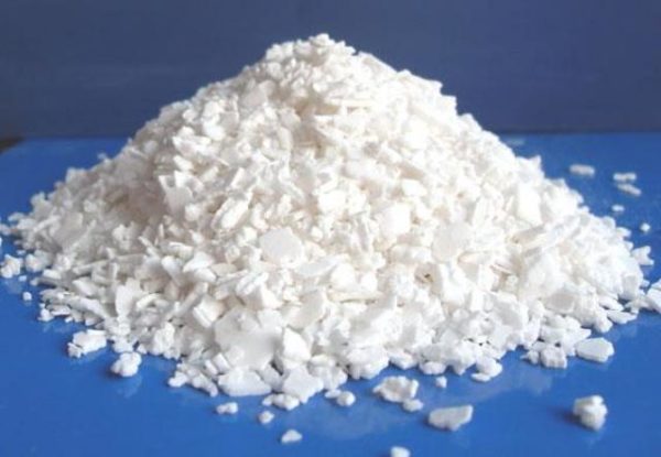  carbonato di potassio