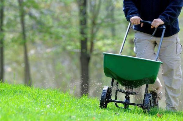  Lawn fertilizer in the fall