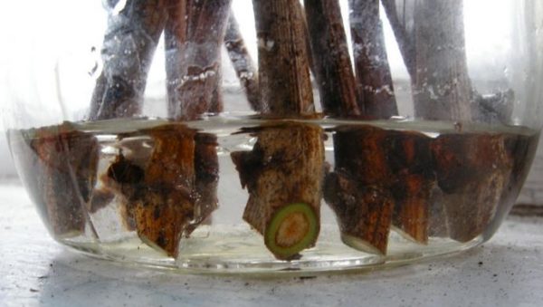  Check cuttings for safety
