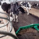  Metoda mecanică de îndepărtare a gunoiului de grajd