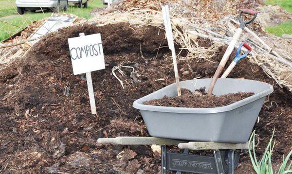  Compostarea gunoiului de grajd