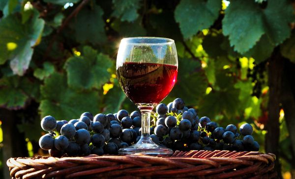  Wine from Far Eastern grapes