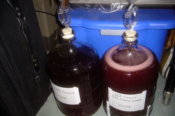  Wine fermentation takes place in a dark place for 25-50 days.