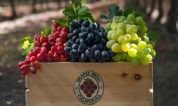  Different grape varieties