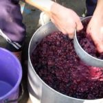  The pulp can be used to make the second wine.