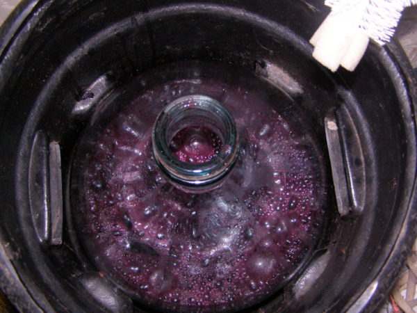  Bottle with grapes