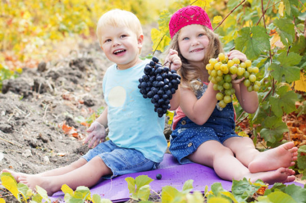  grapes for children