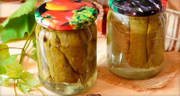  Pickled grape leaves in a jar