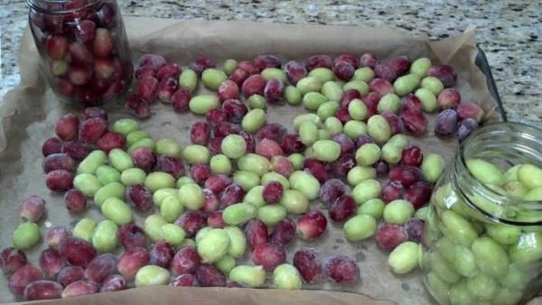  Frozen Grapes