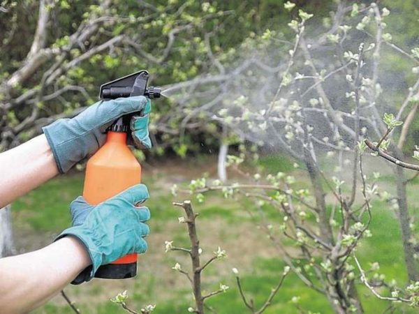  Used not only for plants
