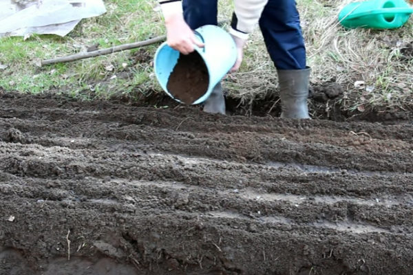  E cosparso di fertilizzante in cima.