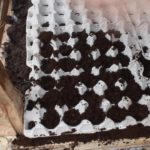  Le cellule vengono messe sul letto e cosparse di terra.