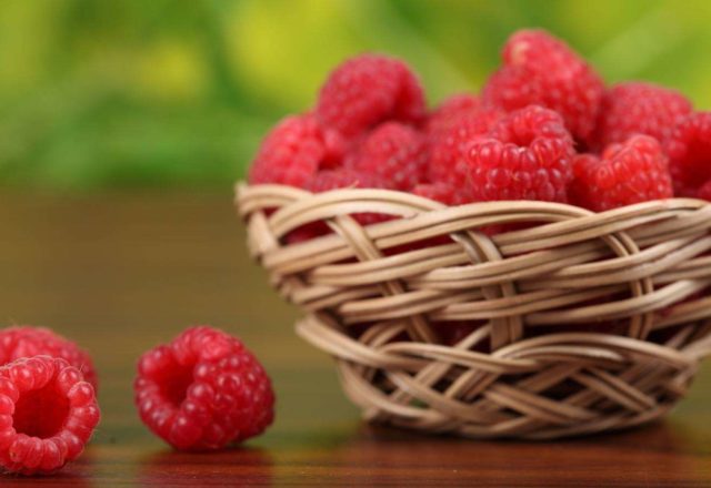  Raspberry varieties