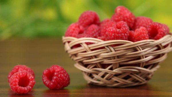  Raspberry varieties