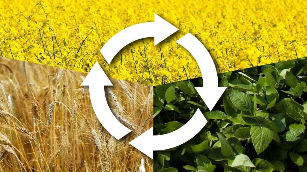  Crop rotation
